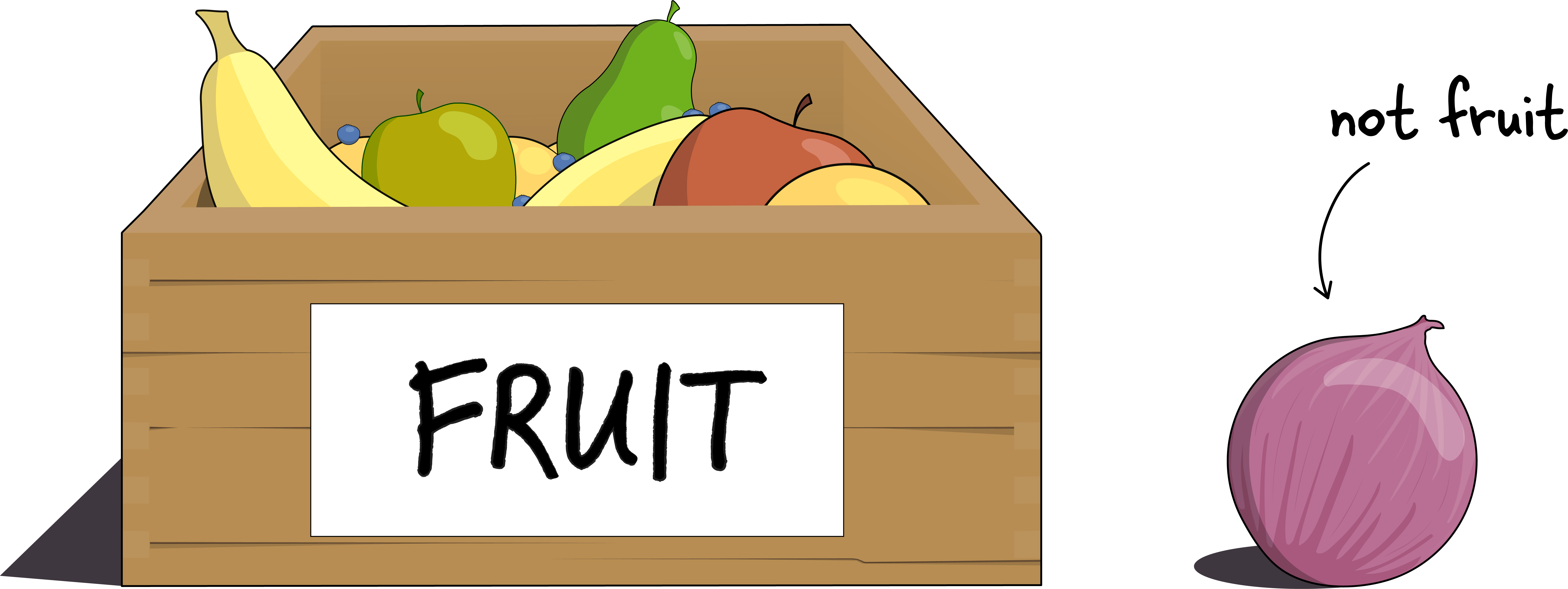 A box labeled "Fruit" containing many fruits, alongside an onion labeled as "not fruit!"